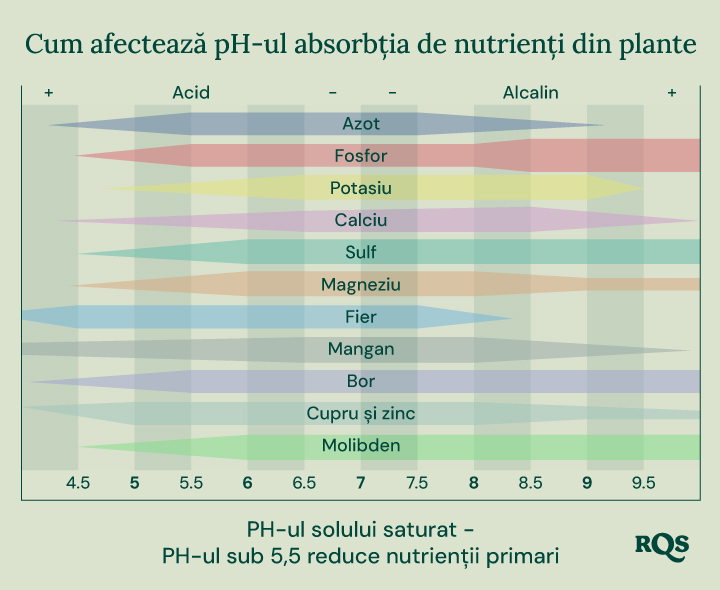 Diagramă cu bare care arată cum pH-ul solului (de la 4,5 la 9,5) influențează disponibilitatea nutrienților precum azot, fosfor, potasiu, calciu, sulf, magneziu, fier, mangan, bor, cupru, zinc și molibden.