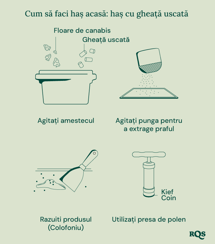 Illustration of biointensive gardening, showing maximum productivity, healthier plants, potent buds, companion planting, deep soil cultivation, and improved soil quality.