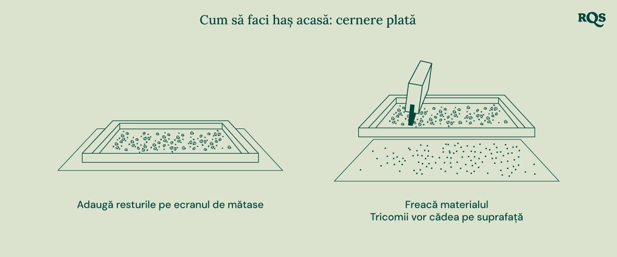 Illustration of biointensive gardening, showing maximum productivity, healthier plants, potent buds, companion planting, deep soil cultivation, and improved soil quality.