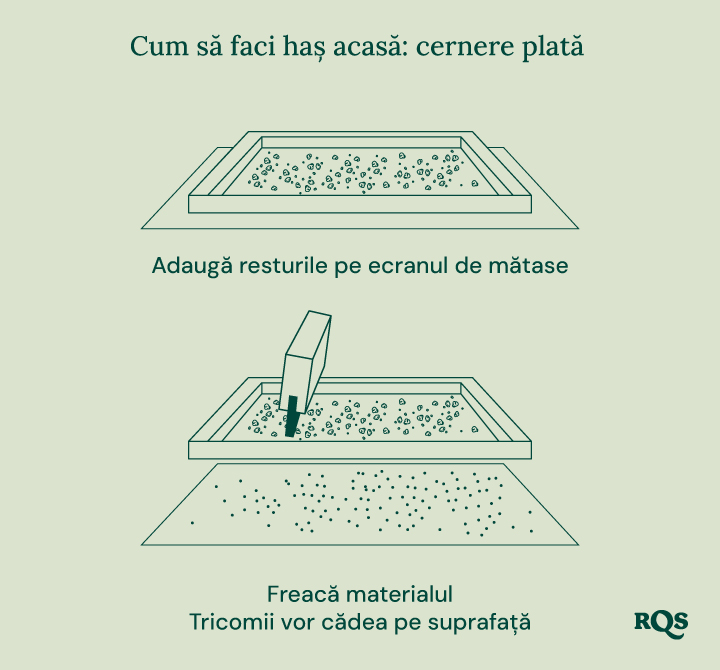 Illustration of biointensive gardening, showing maximum productivity, healthier plants, potent buds, companion planting, deep soil cultivation, and improved soil quality.