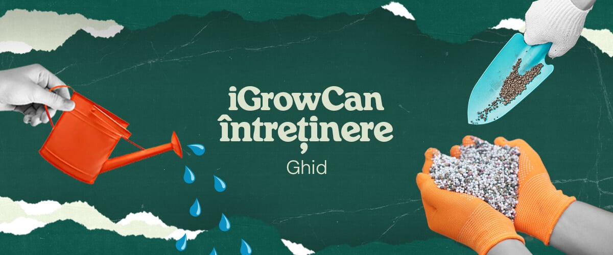 Imagine care reprezintă ghidul de întreținere iGrowCan, ilustrând procesul de udare și fertilizare pentru o creștere sănătoasă și productivă.